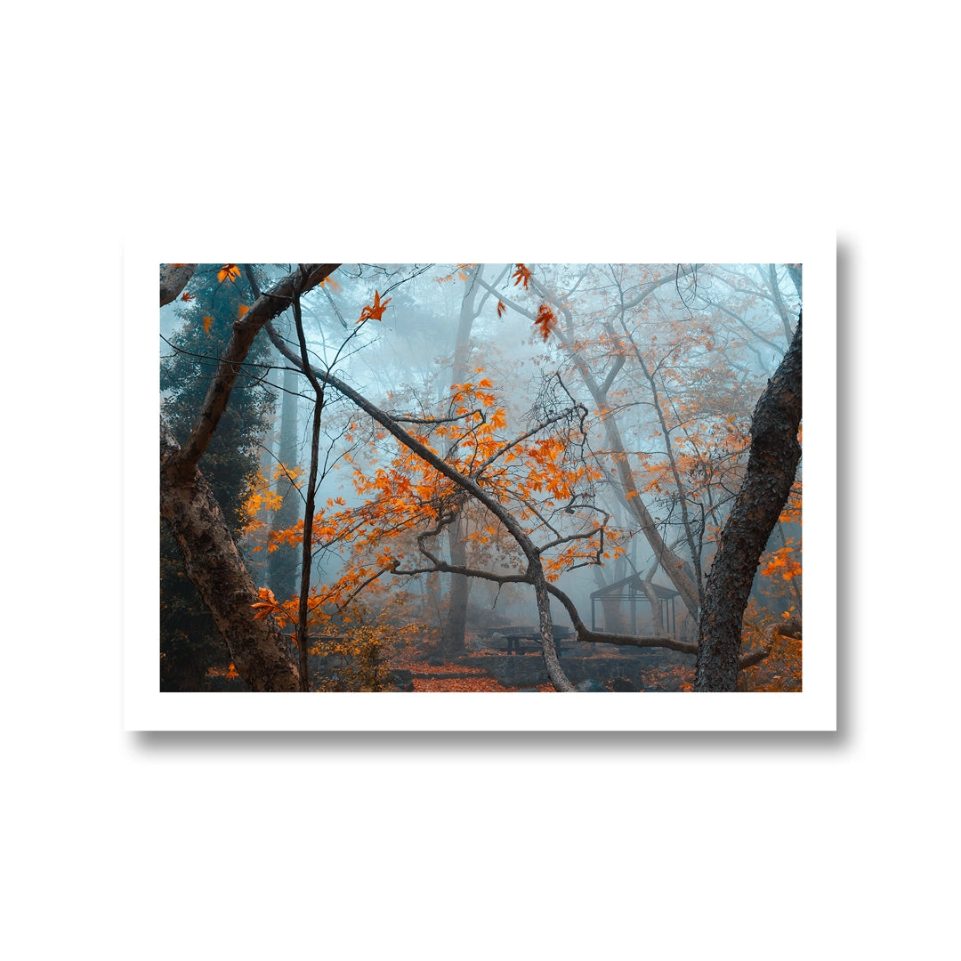 Misty Forest Poster For Sale