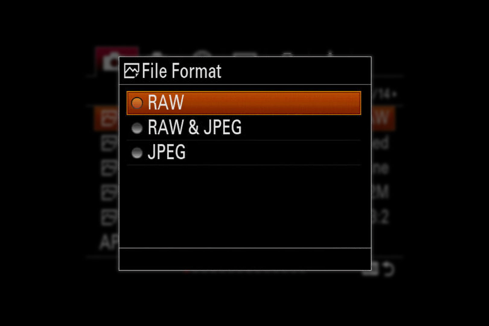 What is RAW. An image depicting the interface of a Sony camera.