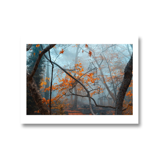 Misty Forest Poster For Sale