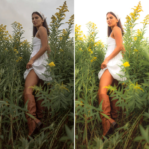 Dreamy lightroom preset dreamy photography