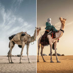 Dune Lightroom Preset