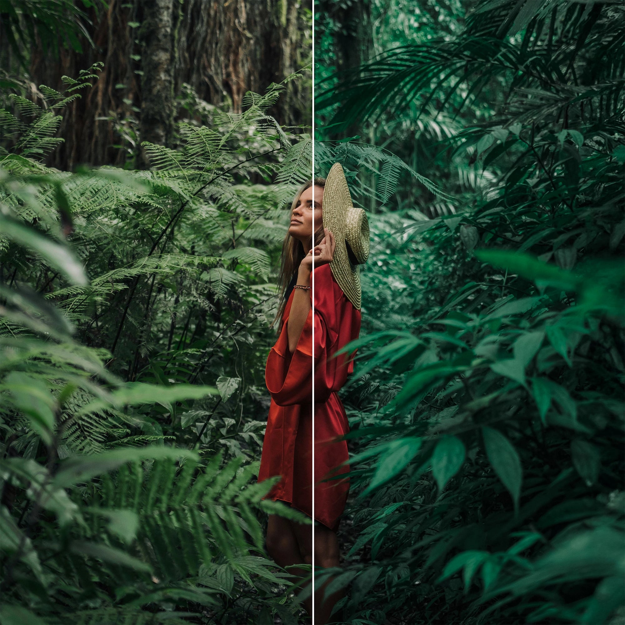 The Viridian Forest Lightroom Preset