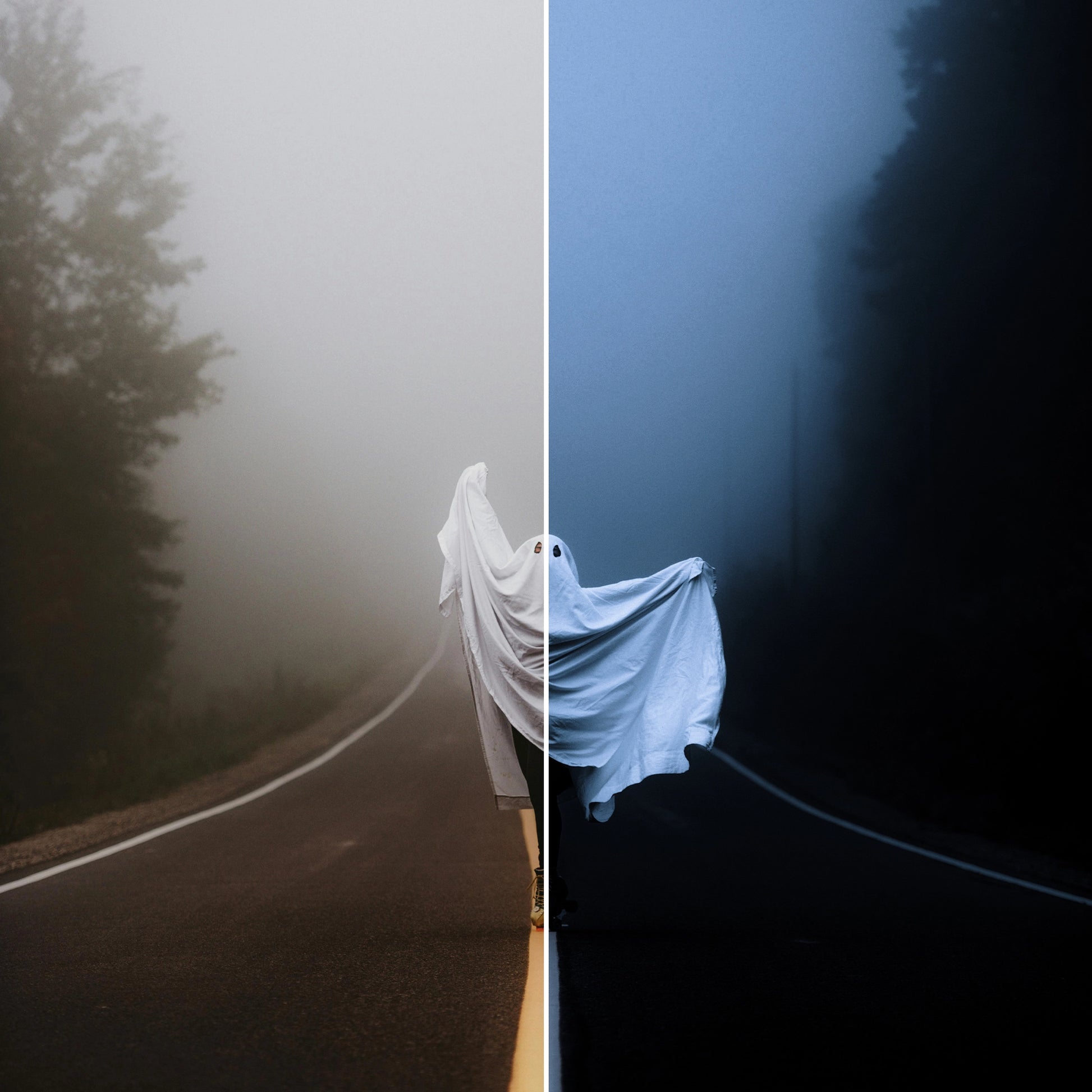 The Nosferatu Lightroom Preset