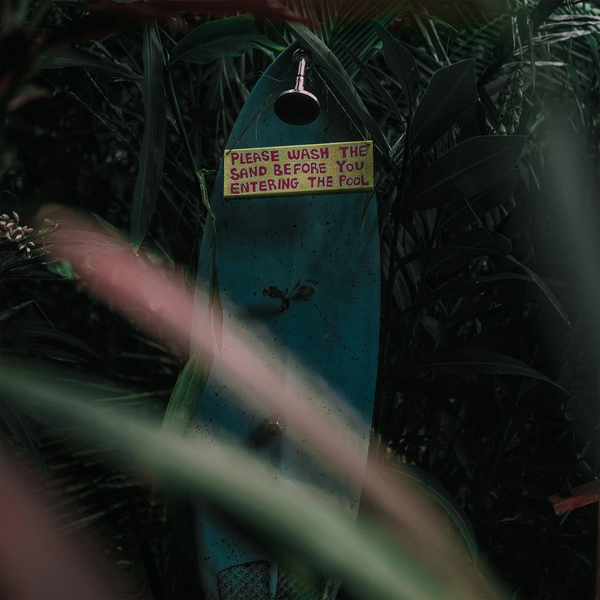 Moody Dark Forest Jungle. Lightroom Preset